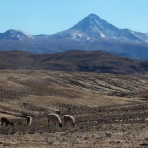 Cerro Chorolque between Tupiza and Uyuni